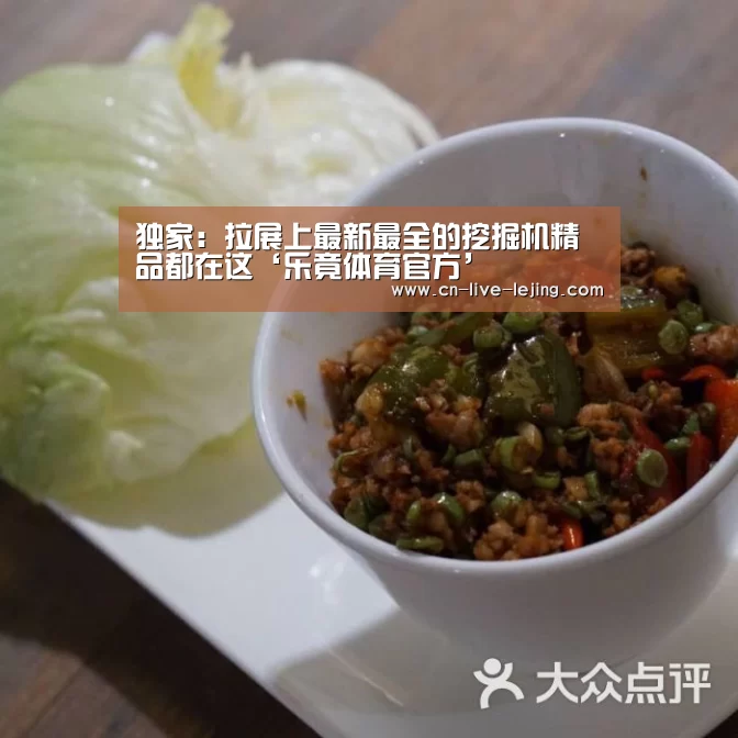 独家:拉展上最新最全的挖掘机精品都在这‘乐竟体育官方’(图2) 乐竟体育官方