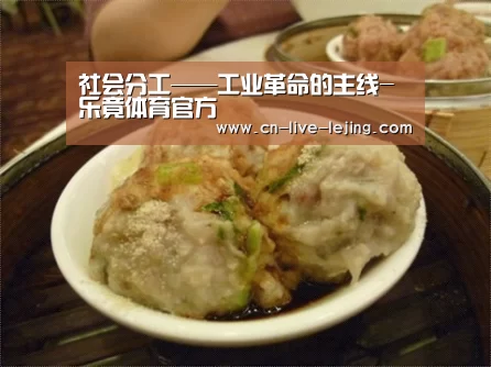 社会分工——工业革命的主线-乐竟体育官方(图1) 乐竟体育官网