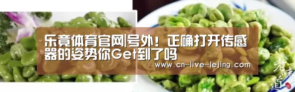 乐竟体育官网|号外!正确打开传感器的姿势你Get到了吗(图1) 乐竟官方