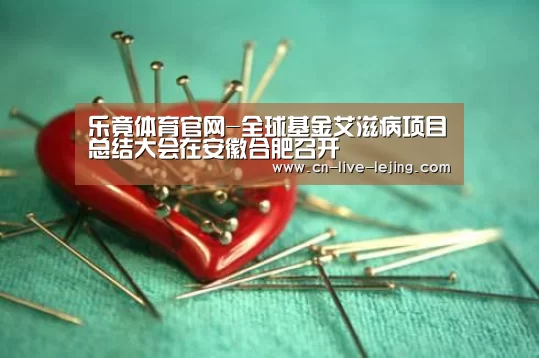 乐竟体育官网-全球基金艾滋病项目总结大会在安徽合肥召开(图3) 乐竟官方