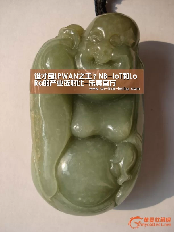 谁才是LPWAN之王?NB-IoT和LoRa的产业链对比-乐竟官方(图1) 乐竟官方