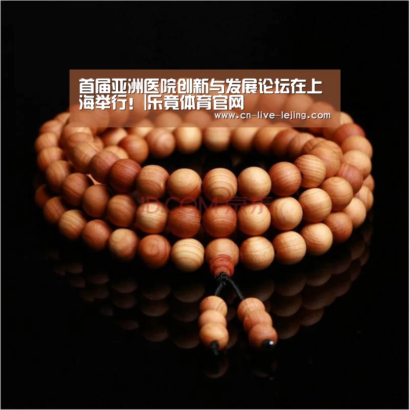 首届亚洲医院创新与发展论坛在上海举行!|乐竟体育官网(图3) 乐竟体育