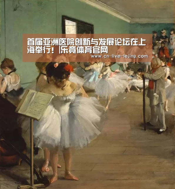 首届亚洲医院创新与发展论坛在上海举行!|乐竟体育官网(图2) 乐竟官方