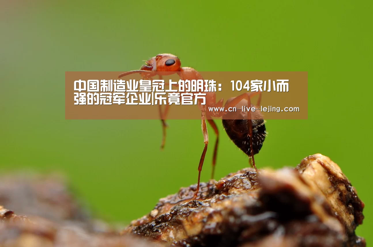 中国制造业皇冠上的明珠:104家小而强的冠军企业|乐竟官方(图1) 乐竟体育官方